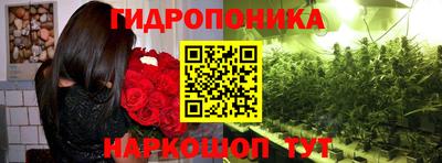 индика Новокубанск