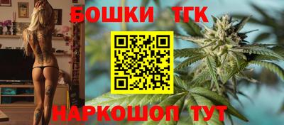 индика Новокубанск